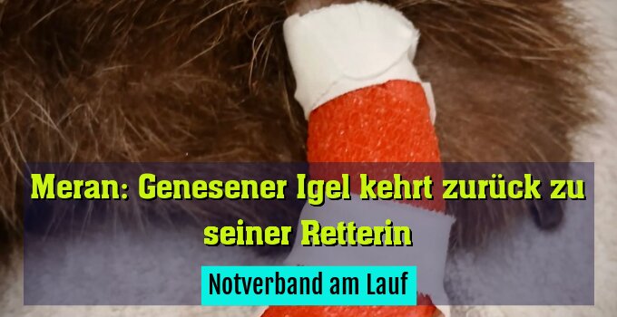 Notverband am Lauf