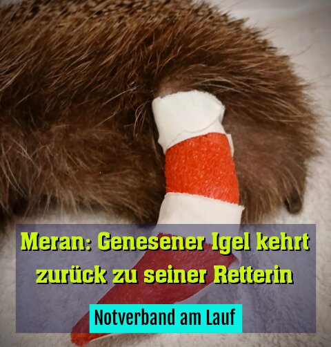 Notverband am Lauf
