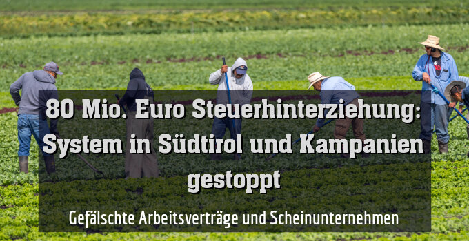 Gefälschte Arbeitsverträge und Scheinunternehmen
