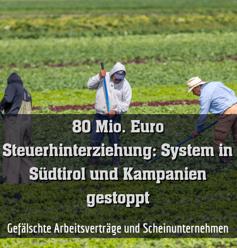 Gefälschte Arbeitsverträge und Scheinunternehmen