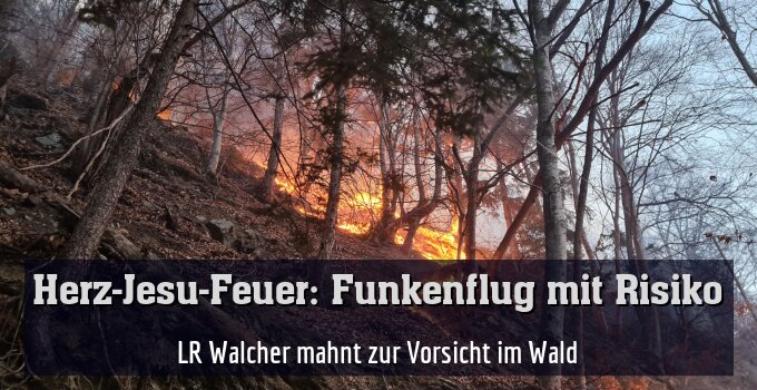 LR Walcher mahnt zur Vorsicht im Wald