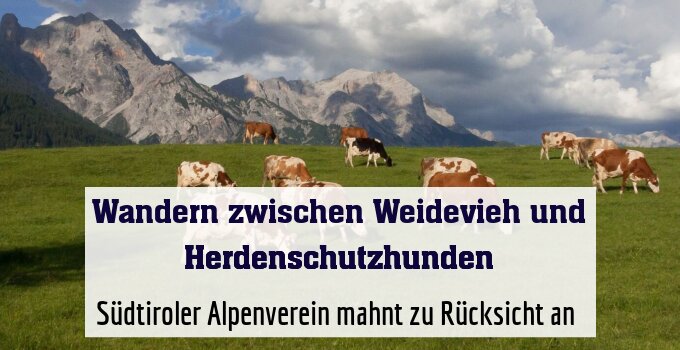 Südtiroler Alpenverein mahnt zu Rücksicht an 