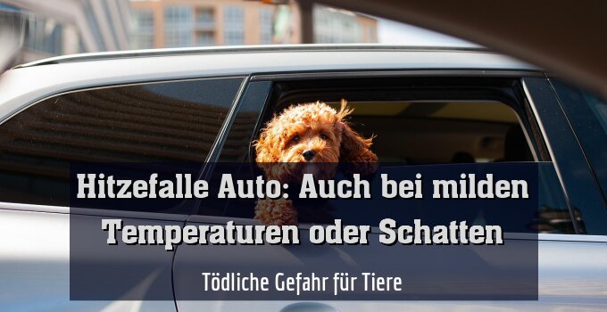 Tödliche Gefahr für Tiere