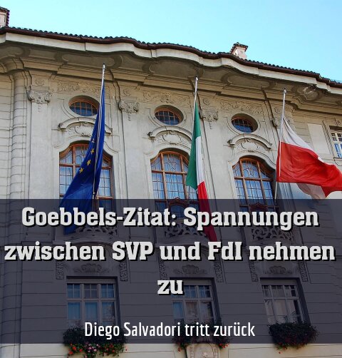 Diego Salvadori tritt zurück