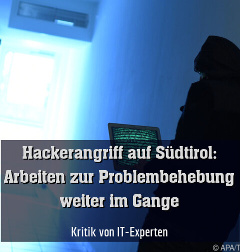 Kritik von IT-Experten