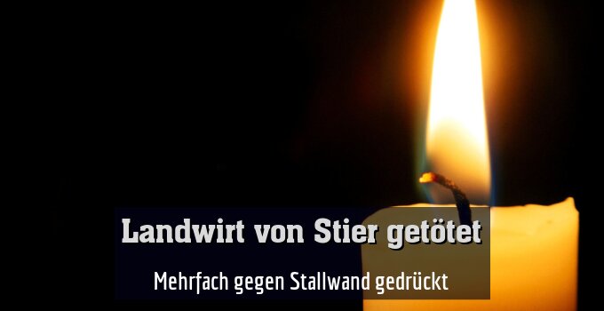 Mehrfach gegen Stallwand gedrückt