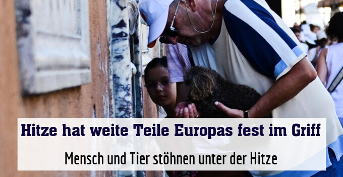 Mensch und Tier stöhnen unter der Hitze