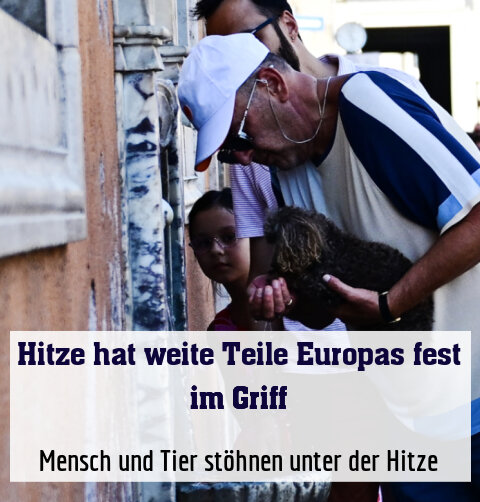 Mensch und Tier stöhnen unter der Hitze