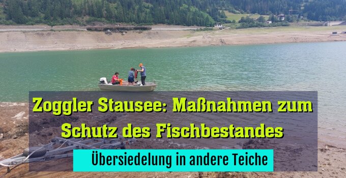 ­ Übersiedelung in andere Teiche