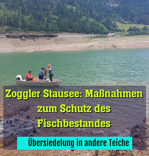 ­ Übersiedelung in andere Teiche
