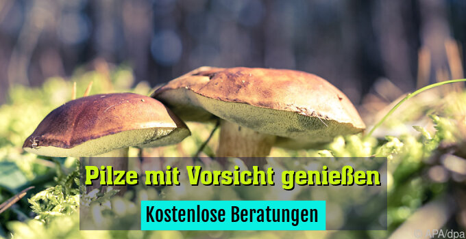 Kostenlose Beratungen