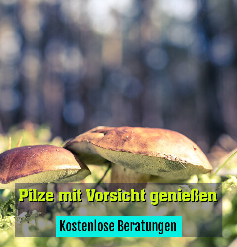 Kostenlose Beratungen