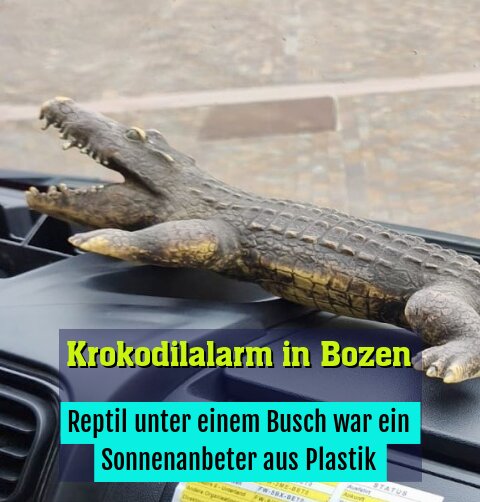 Reptil unter einem Busch war ein Sonnenanbeter aus Plastik