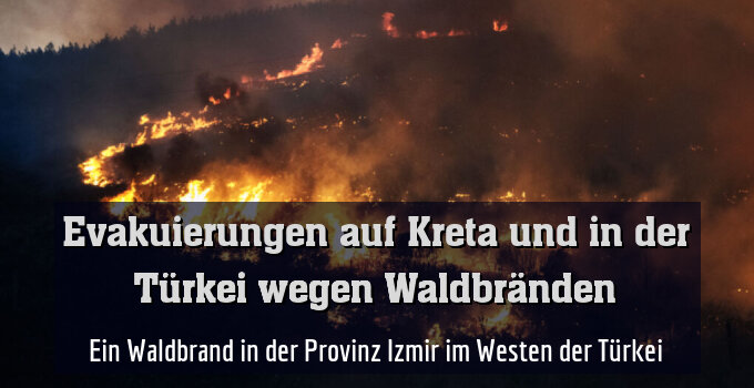 Ein Waldbrand in der Provinz Izmir im Westen der Türkei