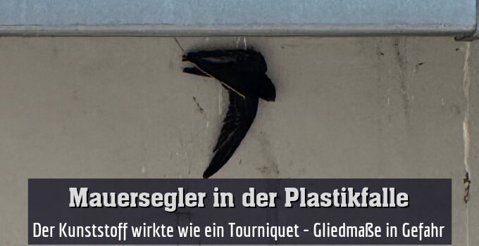 Der Kunststoff wirkte wie ein Tourniquet - Gliedmaße in Gefahr