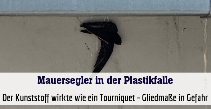 Der Kunststoff wirkte wie ein Tourniquet - Gliedmaße in Gefahr