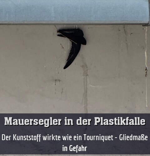 Der Kunststoff wirkte wie ein Tourniquet - Gliedmaße in Gefahr