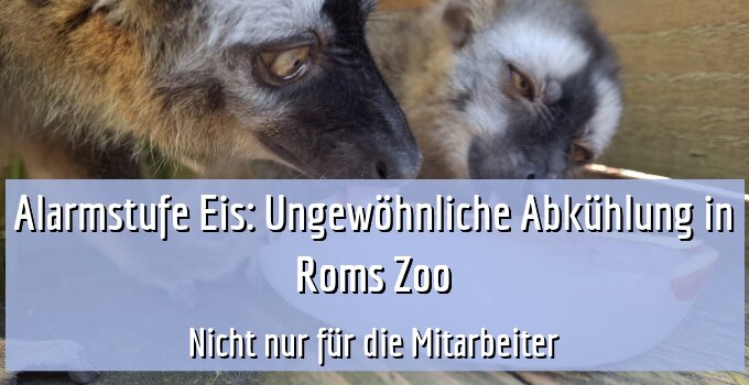 Nicht nur für die Mitarbeiter