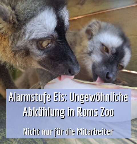 Nicht nur für die Mitarbeiter