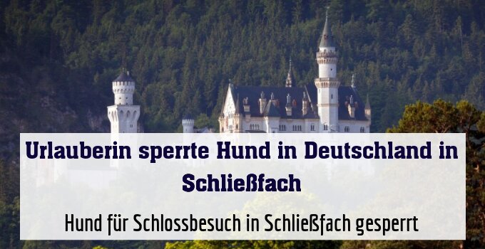 Hund für Schlossbesuch in Schließfach gesperrt