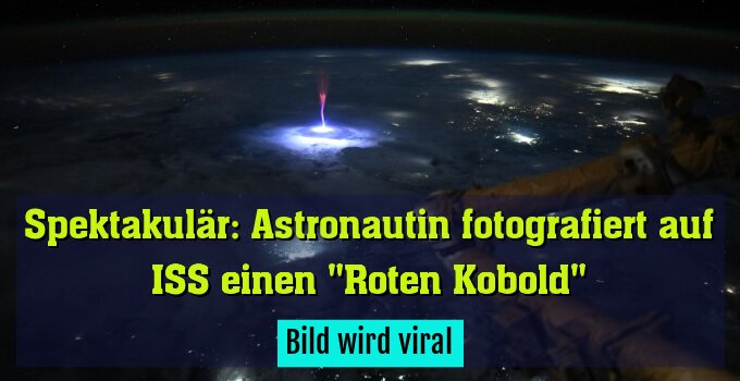 Bild wird viral