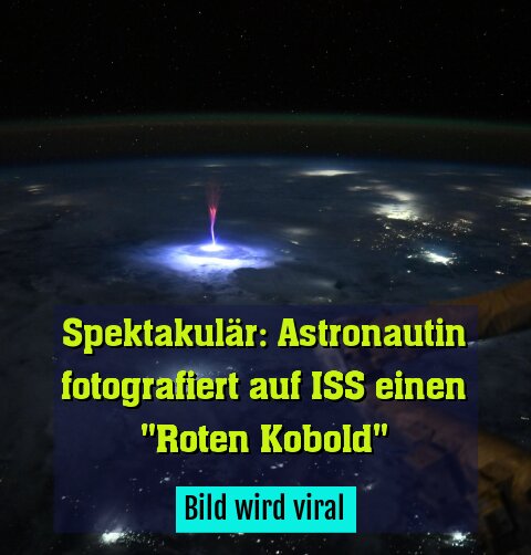 Bild wird viral