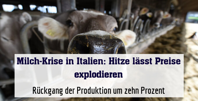 Rückgang der Produktion um 10 Prozent