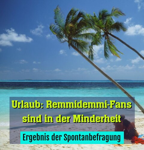 Ergebnis der Spontanbefragung