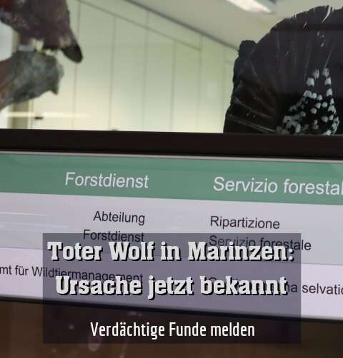 ­Verdächtige Funde melden