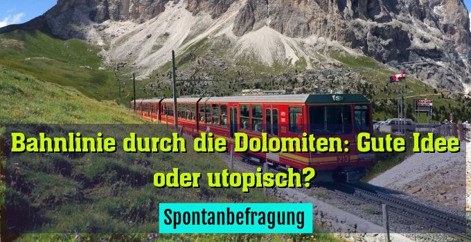 Spontanbefragung