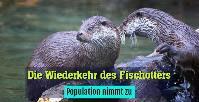 Population nimmt zu