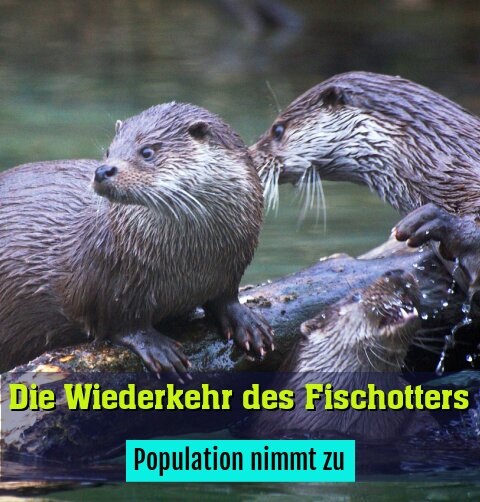 Population nimmt zu