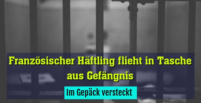 Im Gepäck versteckt 