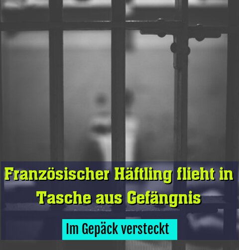 Im Gepäck versteckt 