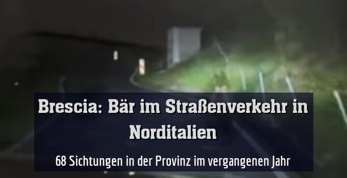 68 Sichtungen in der Provinz im vergangenen Jahr