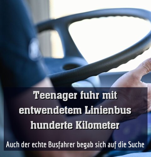 Auch der echte Busfahrer begab sich auf die Suche