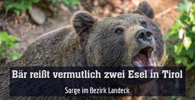 Sorge im Bezirk Landeck