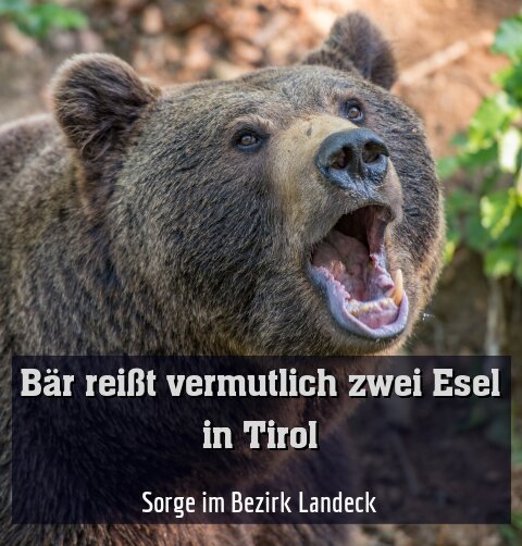 Sorge im Bezirk Landeck