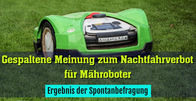 Ergebnis der Spontanbefragung