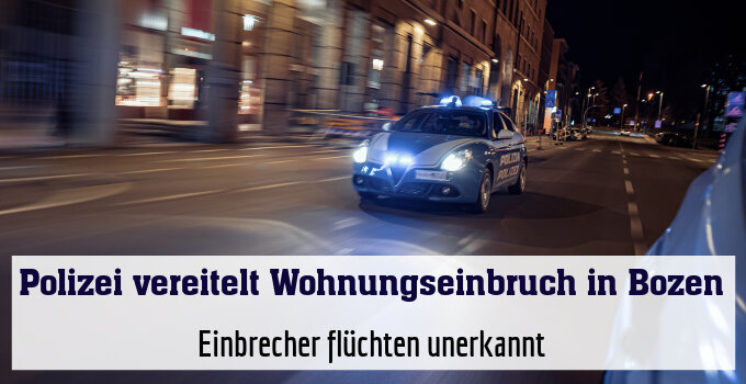 Einbrecher flüchten unerkannt