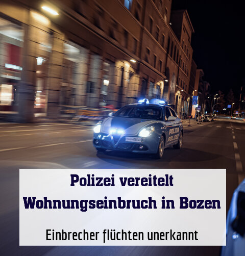 Einbrecher flüchten unerkannt