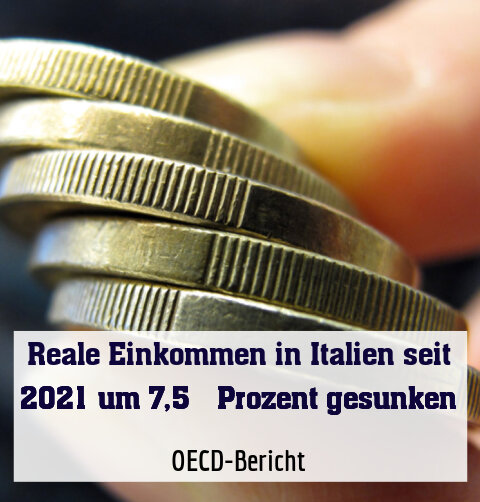 OECD-Bericht