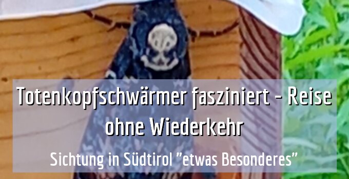 Sichtung in Südtirol "etwas Besonderes"