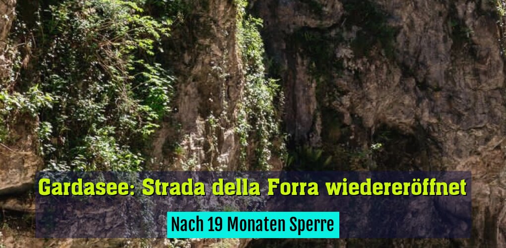 Nach 19 Monaten Sperre