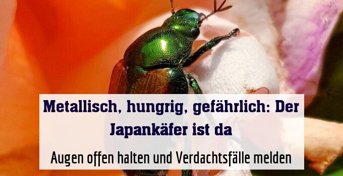 Augen offen halten und Verdachtsfälle melden