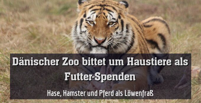 Hase, Hamster und Pferd als Löwenfraß