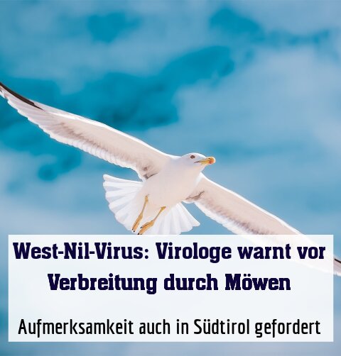 Aufmerksamkeit auch in Südtirol gefordert