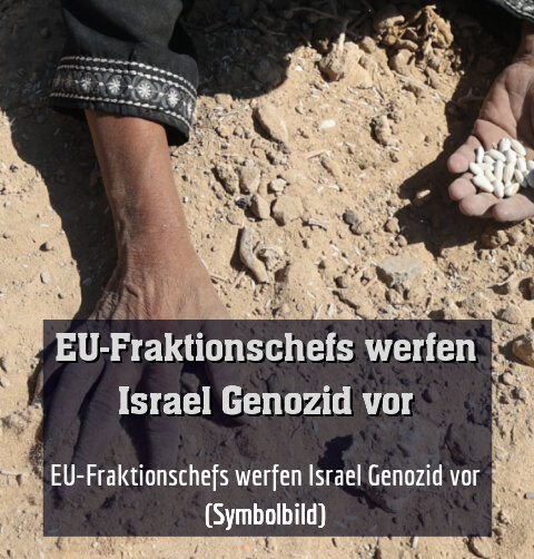 EU-Fraktionschefs werfen Israel Genozid vor (Symbolbild)