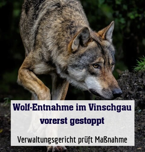 Verwaltungsgericht prüft Maßnahme