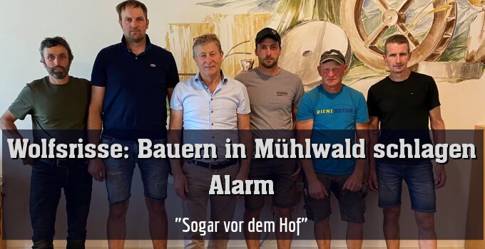 "Sogar vor dem Hof"